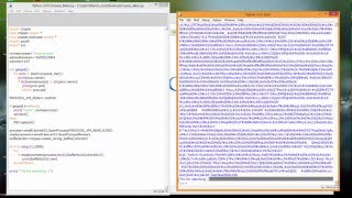 Python read prozess memory [upl. by Rraval]
