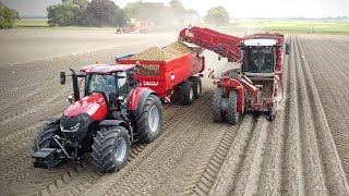 GRIMME VARITRON 270470  Aardappels rooien  oogst 2022  Potato harvest  Kartoffelernte [upl. by Ennovihs]