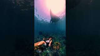 【BALI】Manta Point nusapenida mantapoint [upl. by Birck]