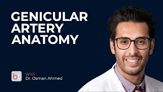 Overview of Genicular Artery Embolization Anatomy w Dr Osman Ahmed  BackTable Clips [upl. by Uokes]