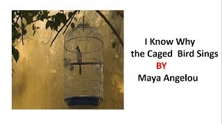 I Know Why the Caged Bird Sings  ICSE Class 10th poems [upl. by Ahsilad691]