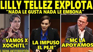 Lilly Téllez llama a Buenrostro quottapadera de corruptosquot DESPEDAZA SHEINBAUM A FOX CALDERÓN Y PEÑA [upl. by Attem837]