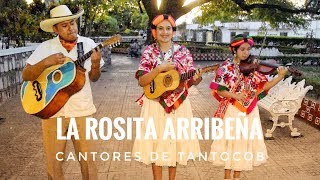 Trío Cantores de Tantocob  La Rosita Arribeña [upl. by Critta344]