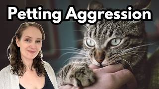 Cat attacking when petted Theres a compassionate way to stop it [upl. by Sito]