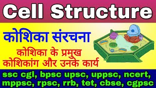 कोशिका संरचना  Koshika ki sanrachna  cell Structure and Function  Plants Cell Cell Organelles [upl. by Daniella934]