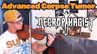 Necrophagist  Advanced Corpse Tumor solo violin cover 2024 [upl. by Llenahc578]