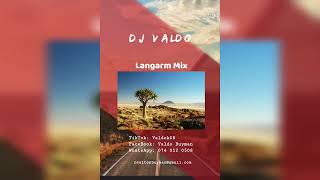 DJ ValdoLangarm Mix [upl. by Bracci]