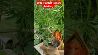 कनेर प्लांट की bonsai meking processshortvideo [upl. by Deane793]