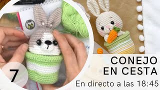 Conejito de pascua en cesta tejido amigurumi 7 [upl. by Anauqed]