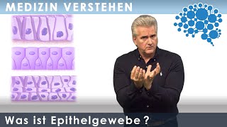 Was ist Epithelgewebe │Dr Dr Damir del Monte│Encephalon Medizin Videos bei Lecturio [upl. by Kelwin815]