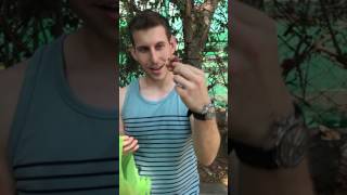 MAN VS FRUIT Guamuchil Manila Tamarind Monkey Pod Rare Tropical Fruit in the Philippines [upl. by Turmel136]