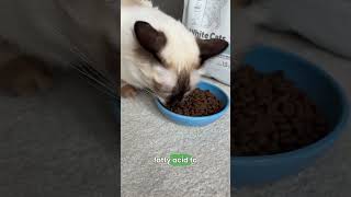 Natures Protection White Cat Food Review [upl. by Gilda654]