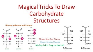 How to Memorize Carbohydrates Structures [upl. by Nothsa922]