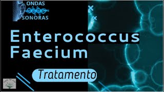 ENTEROCOCCUS FAECIUM Frequência Medicina Quântica Fonte de vida [upl. by Howlan]