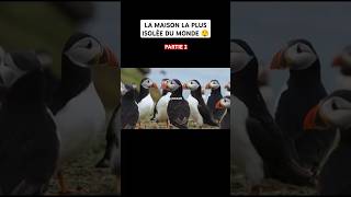 LA MAISON LA PLUS ISOLÉE DU MONDE😲 shortvideo shorts house isolated island iceland incredible [upl. by Nawd]