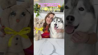 Come CREARE un PELUCHE con un ASCIUGAMANO 😯🧸😍 tutorial peluche dog cane howtomake [upl. by Brandie]