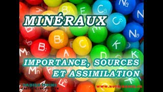 Les minéraux  importance sources et assimilation  Équilibre acidobasique Fabien Moine [upl. by Margarete]