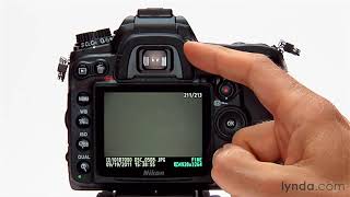 Nikon DSLR Tutorial  Shooting with the continuous mode [upl. by Oirrad460]