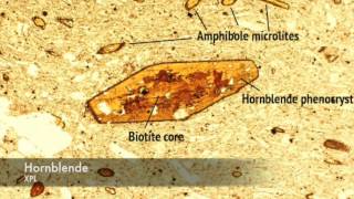 Hornblende vs Biotite under PPL and XPL [upl. by Larner]