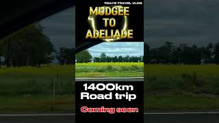 Mudgee to AdelaideRoad trip1400km [upl. by Naul207]