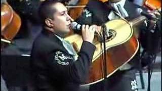 MARIACHI VARGAS DE TECALITLAN EL PASTOR [upl. by Schmeltzer]