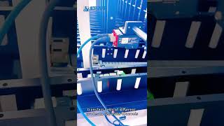 Prismatic Cell TenChannel Sorting Machine [upl. by Andrews]