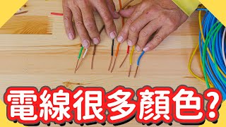 電線的顏色沒有意義｜為什麼家裡電線這麼多顏色【水電爸爸】 [upl. by Yadseut224]