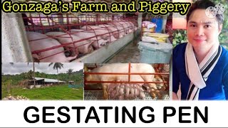 Simpleng Idea Paano gumawa ng Paipitan ng Inahing Baboy  Gestating Pen GonzagasfarmandPigerry [upl. by Liahcim]