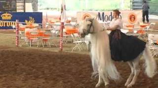 Andalusian Horse Garrido and Mylessa Spanish Dancing at ANCCE Show [upl. by Saffier690]