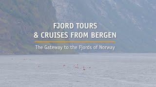 Fjord tours amp cruises in Bergen Norway [upl. by Aretahs665]