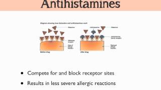 Histamine amp Prostaglandins [upl. by Tertia41]