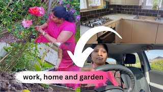 UK HOME GARDEN VLOG ROSE PLANT CARE IN TAMIL  englandthamizhachi [upl. by Yssim]