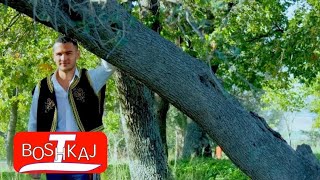 Tahir Boshkaj  Çobanke Shelegeve  Vajze Kapedane Official Video [upl. by Alysa]