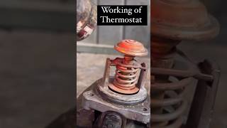 How Thermostat works automobile mechanic shorts lifehacks [upl. by Attikram22]