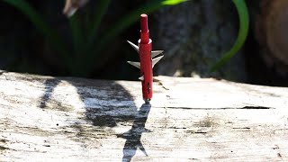 Thorn Broadheads Crown Broadhead Test [upl. by Lazos]