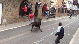 Moralzarzal 2015 Encierro con los toros de la novillada [upl. by Netsoj385]