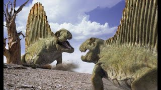 Dimetrodon Famous Carnivorous Sailback [upl. by Assedo]