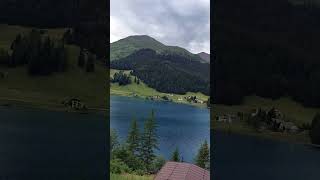 Davos switzerland travel alp traintravel trainjourney nature train [upl. by Montagu97]