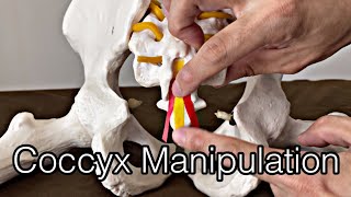 How to do neural manipulation for coccygeal nerve English [upl. by Ettenil633]