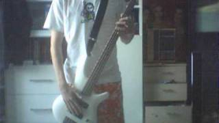 Korn  Shoots and Ladders Bass cover [upl. by Elleved15]