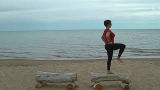 Standing Balance Yoga Practice [upl. by Tillford]