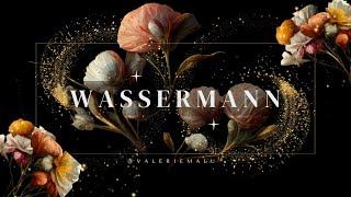 WASSERMANN ♒️STILLSCHWEIGEN [upl. by Engud]