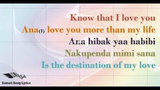 English lyrics  I love you more than my life  Ana hibak ya habibi  By nimco happy  Somali lyrics [upl. by Naujahs]