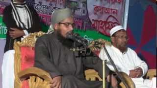 bangla new waz 2015 by mufti habibur rahman misbah kuakata জিকিরের ফজিলত [upl. by Attehcnoc754]