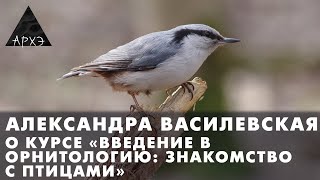 Александра Василевская Курс quotВведение в орнитологию знакомство с птицамиquot [upl. by Dillie]