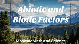 Difference between Abiotic and Biotic Factors [upl. by Aicertal]