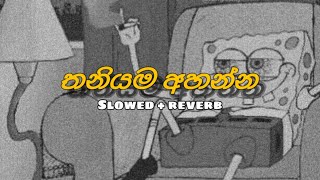 තනියම අහන්න හොදම Slowed  Reverb  සින්දු ☺️❤️Manoparakata Mind Relaxing Cover Sinhala Song [upl. by Alatea233]