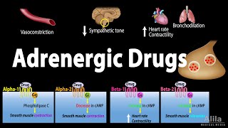 Adrenergic Drugs  Pharmacology Animation [upl. by Dorej632]