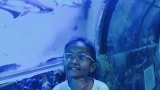 fish tunnel in Dwarka मेला [upl. by Naerda]