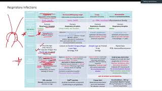 Micro for USMLE Step 1  Lecture 1 [upl. by Aehcim]